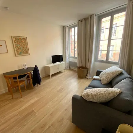 Sur Garonne Apartment Toulouse